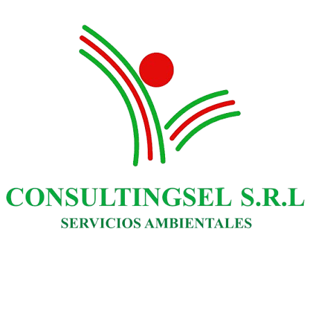 CONSULTINGSEL S.R.L.