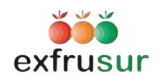 EXPORTADORA FRUTÍCOLA DEL SUR S.A.