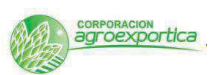 CORPORACIÓN AGROEXPORTICA S.A.C.