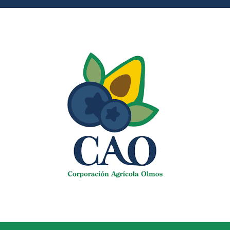 CORPORACION AGRICOLA OLMOS S.A.