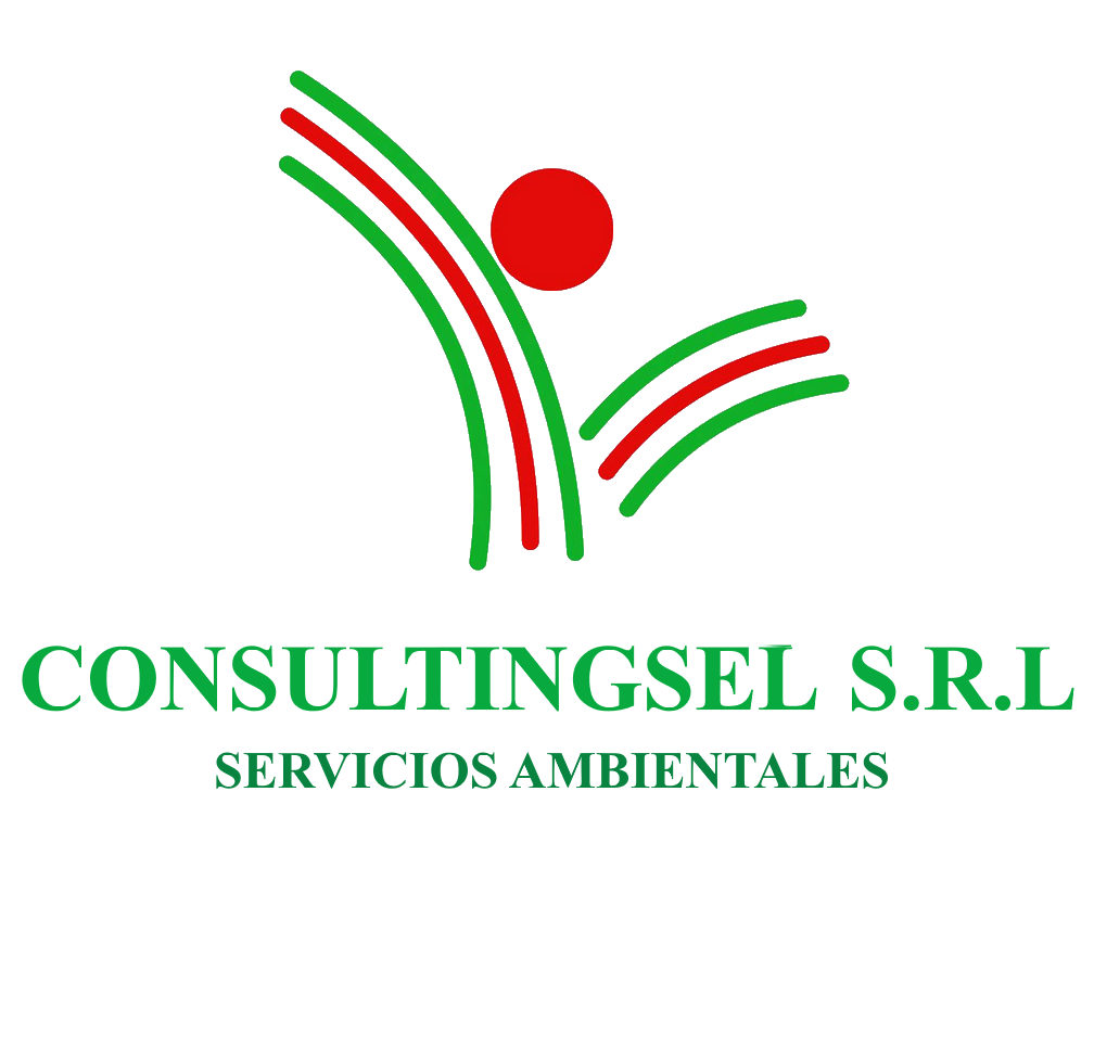 CONSULTINGSEL S.R.L.