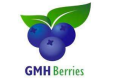 GMH BERRIES S.A.C.