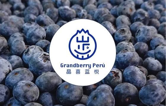 GRANDBERRY PERU S.A.C.